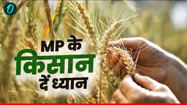 MP News: गेहूं उपार्जन के लिए किसान कर सकते हैं ऑनलाइन पंजीयन, घर बैठे होगा ये काम