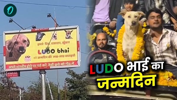 MP के डॉगी 'लूडो भाई', चाहने वालों ने पोस्टर लगाकर दी बधाई, सोशल मीडिया पर हस्ती ये छाई