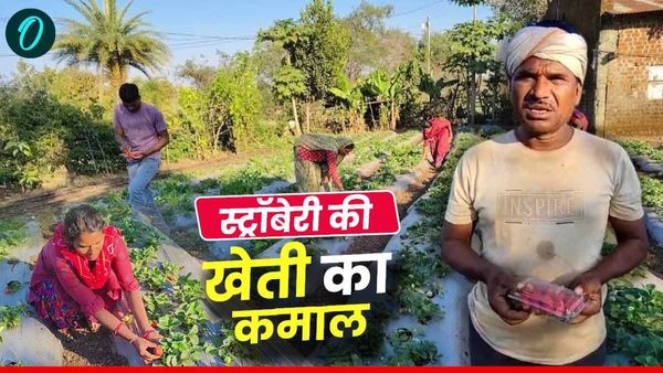 MP: कभी खेती में हो रहा था हजारों का नुकसान, अब लाखों के फायदे से किसान हैरान