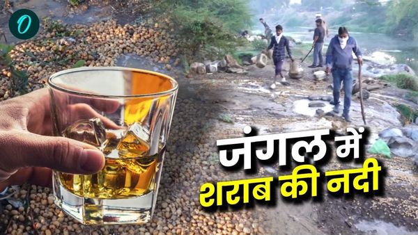 MP News: जंगल में बही अवैध शराब की नदी, पुलिस की सबसे बड़ी कार्रवाई