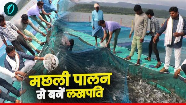 MP News: मछली पालन से लाखों कमाएंगे किसान, किन योजनाओं से होगा फायदा, केंद्रीय मंत्री ने बताया