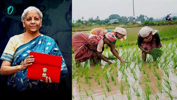 PM Dhan Dhanya Krishi Yojana: बजट 2025 में 'पीएम धन-धान्य कृषि योजना' का ऐलान, 100 जिले होंगे कवर