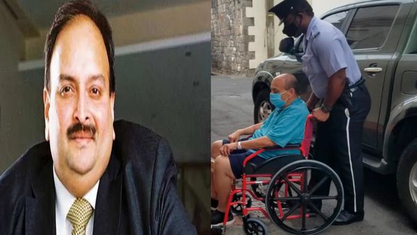 PNB घोटाले के अरोपी भगोड़े मेहुल चोकसी को हुआ 'ब्लड कैंसर', अपील कर बोला- भारत नहीं आ सकता