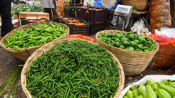 Bihar News: बिहार में बहार है, एक और Good News, सुधा की तर्ज़ पर खुलेगा ताज़ी सब्ज़ियों का Outlet