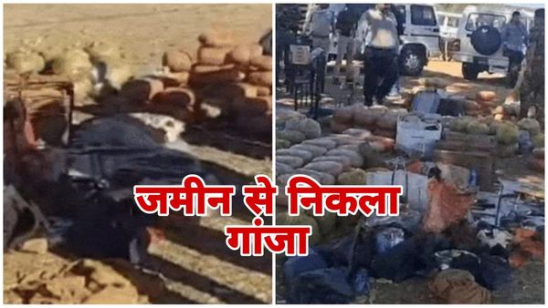 MP News: STF ने डिंडौरी में तस्करी रैकेट का भंडाफोड़ किया, 940 किलो गांजा और जंगली जानवरों की खाल बरामद