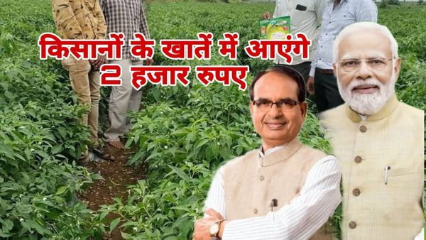 MP News: किसानों के खाते में कब आएंगे 2 हजार रुपए, किसान सम्मान निधि पर कृषि मंत्री शिवराज ने दी बड़ी जानकारी