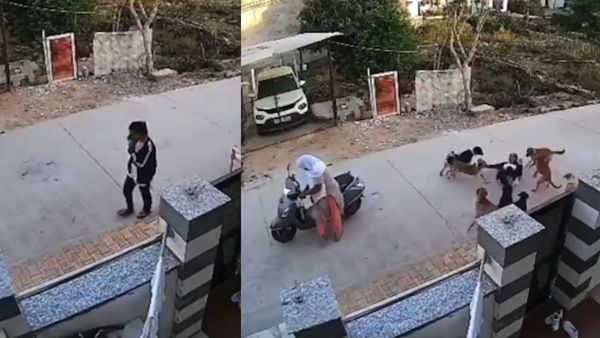 अलवर में चौंकाने वाली घटना: वॉक पर निकली युवती पर कुत्तों का हमला, बाल-बाल बची जान