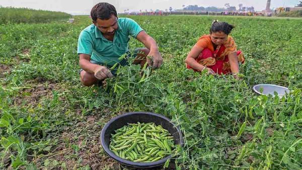 Bihar News: चुनावी साल में किसानों के लिए ख़ुशखबरी, अब 2.85 लाख से और ज़्यादा किसानों को होगा फ़ायदा