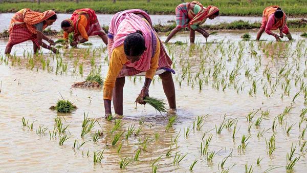 UP के गंगाजल से बदलेगी Bihar के किसान की तकदीर, इस योजना पर 500 करोड़ से ज़्यादा ख़र्च करेगी सरकार