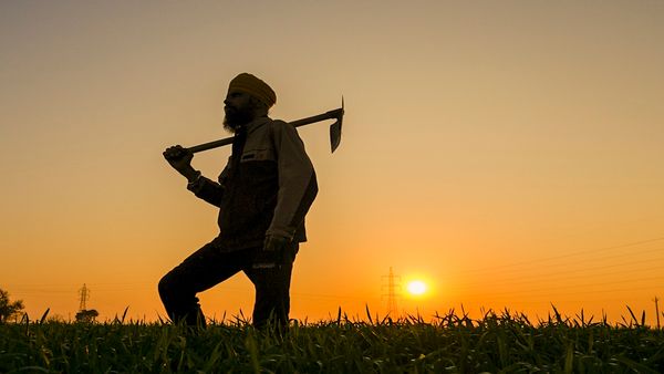 Bihar News: किसानों को नीलगाय से हुआ नुकसान तो 10 लाख रुपये तक मिलेगा मुआवज़ा- मंत्री डॉ. सुनील कुमार