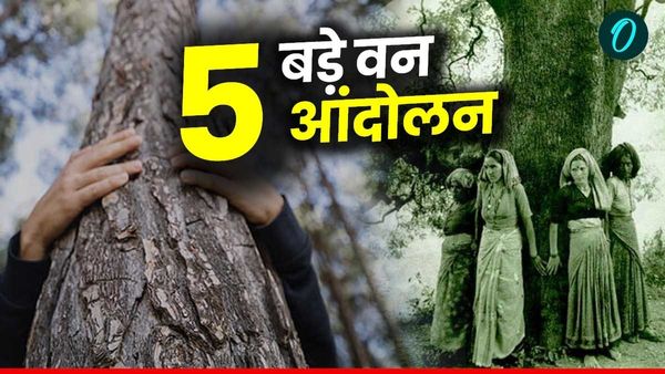 Forest Movement in India: देश के वो 5 बड़े वन आंदोलन, जिसमें पेड़ों के लिए लोगों ने लगा दी जान की बाजी