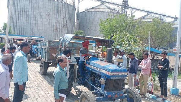 MP News: समर्थन मूल्य पर गेहूं खरीदी को लेकर अपडेट, क्या रहेगा खास, जानिए