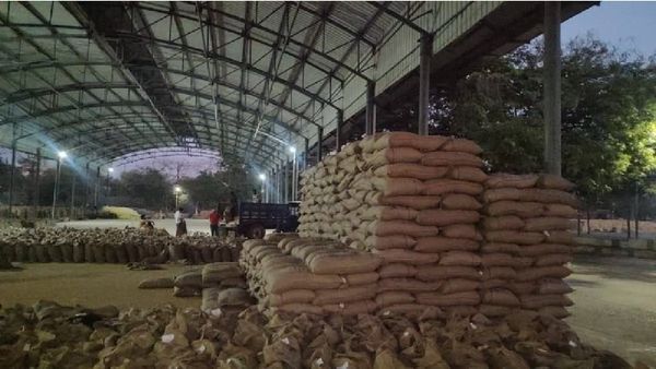 Indore News: समर्थन मूल्य पर गेहूं खरीदी को लेकर अपडेट, ध्यान से पढ़ें ये खबर