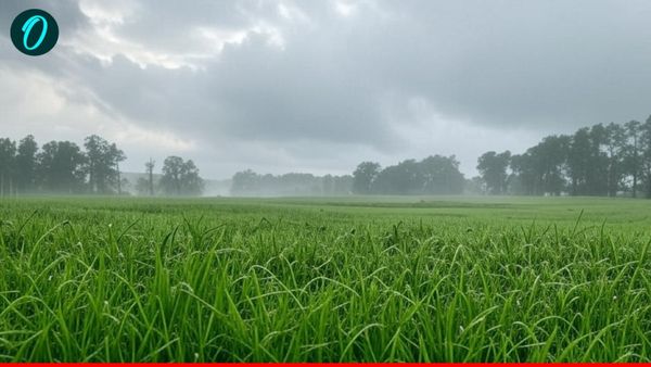 UP Weather Update: 13-14 मार्च को कहां होगी बारिश, जानें मौसम विभाग का पूर्वानुमान
