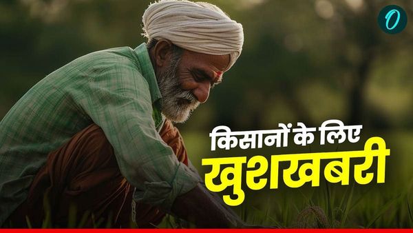 MP News: किसानों का जीवन बदलेगी ये कंपनी, काबुली चने से होगी बंपर कमाई