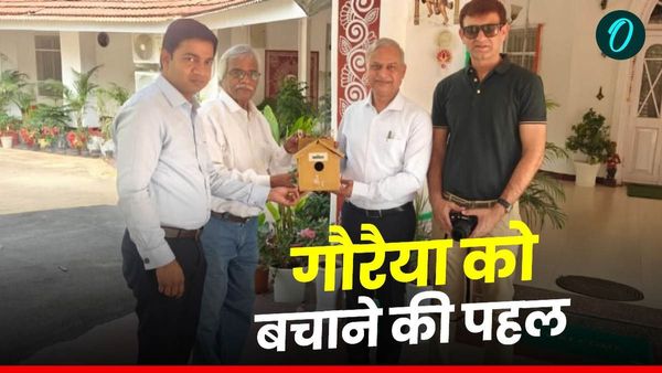 Indore News: गौरैया को बचाने का अभियान, कहां मिलेंगे बक्से, जिसमें मिलेगा सुरक्षित स्थान, जानिए