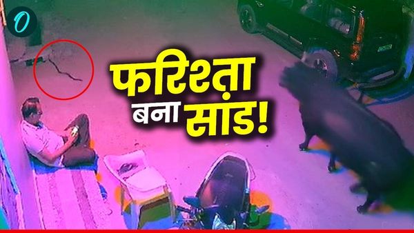 Video: घर के बाहर बैठे शख्स को बचाने आए 'महादेव'! सांड ने सांप के डसने से बचाया, लोग बोले- 'भगवान की लीला'