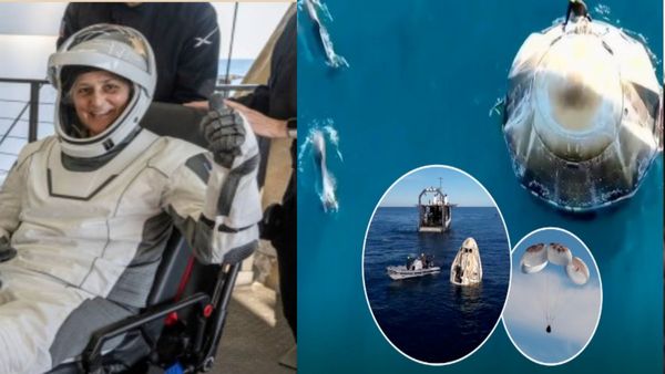 Sunita Williams के समुद्र पर लैंड करते ही डॉल्फिन ने किया अनोखा स्‍वागत, एलन मस्‍क ने शेयर किया ये VIDEO