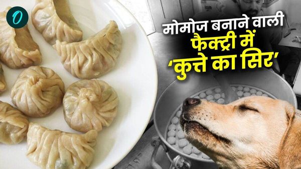 Viral News: फास्ट फूड फैक्ट्री के फ्रीज में मिला कुत्ते का कटा सिर, इस राज्य से सामने आया मामला