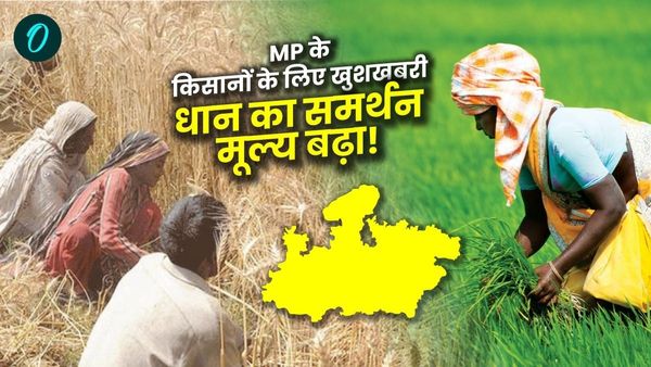 MP News: किसानों के लिए खुशखबरी: धान और गेहूं का समर्थन मूल्य बढ़ा, सरकार ने लिया बड़ा कदम