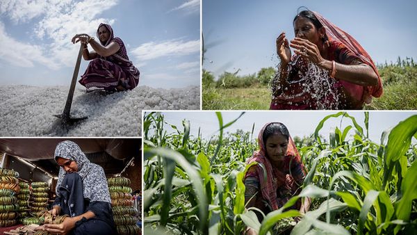 Heatwave Insurance: क्‍या है हीटवेव इंश्‍योरेंस, जिसमें तापमान 40 पार जाने पर मिलते 1600 रुपए, कौन हैं पात्र?