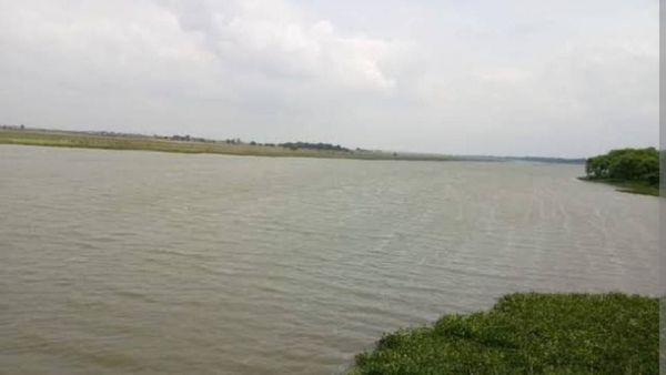 Bihar News: 65 प्रजातियों के लगभग 3500 पक्षी, गोकुल जलाशय में प्रवासी पक्षियों का नज़ारा देख एक्सपर्ट भी हैरान