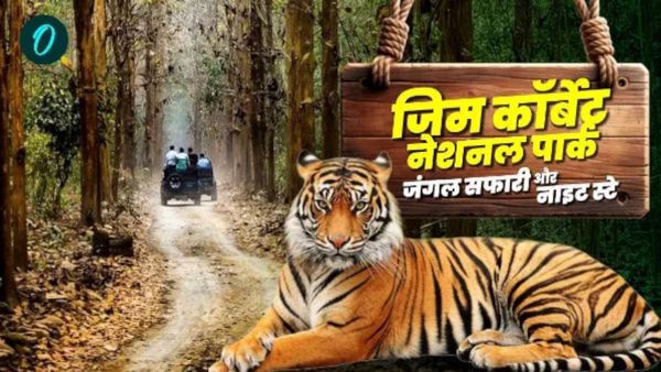 Jim Corbett National Park घूमने-फिरने और रोमांच के साथ सफारी हुआ महंगा, चुकाने होंगे इतने रुपये