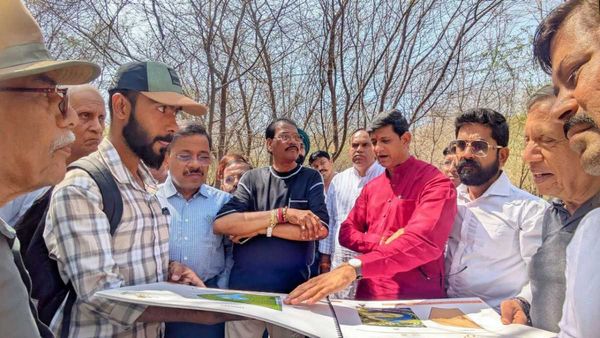 Indore News: इंदौर को मिलेगा ‘भारत वन’, शहर में बनेगा जंगल, कैसे, जानिए