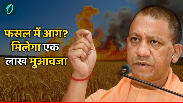 UP Farmer News: आग से जली फसल, जानिए सरकार से कैसे मिलेगी एक लाख की मदद, कहां करनी होगी शिकायत?