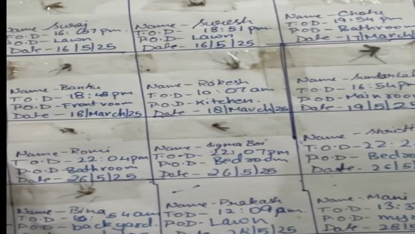 Viral: 'पूरा मच्छर समाज डरा हुआ है', लड़की के इस अनोखे शौक से सनका सोशल मीडिया, Video देख हैरान मत होना!