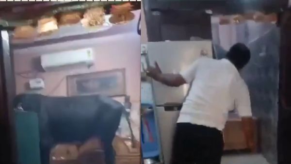 Viral: सांड से बचा लो! घर के बेडरूम में घुस आया आवारा जानवर, महिला ने अलमारी में छिपकर काटे डरावने 2 घंटे