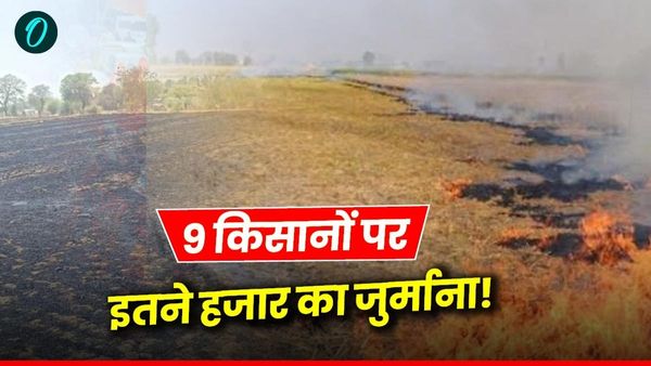 Rajgarh News: नरवाई जलाना पड़ा भारी, 9 किसानों पर 25 हजार रुपये का जुर्माना, प्रशासन ने दिखाई सख्ती