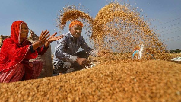 Bihar News: किसानों के लिए खुशखबरी, 2 लाख टन गेहूं की होगी ख़रीदी, प्रति क्विंटल भाव में भी बढ़ोत्तरी