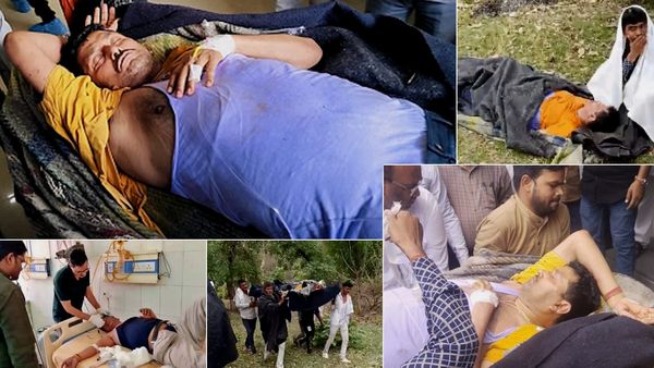 ललितपुर में मधुमक्खियों का आतंक: बेहोश मिले IAS को चारपाई पर लेटाकर लाए जंगल से बाहर