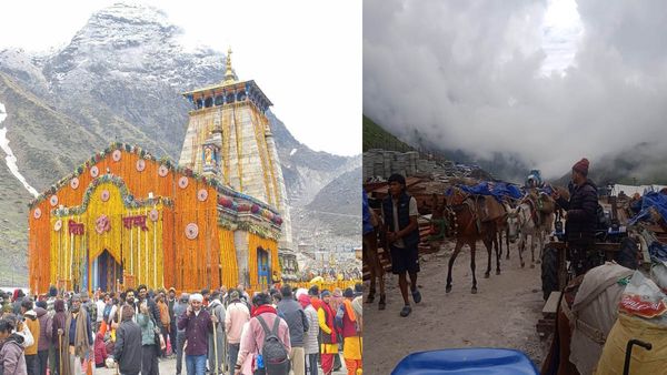 Kedarnath Yatra को लेकर बड़ी खबर, घोड़े-खच्चरों के संचालन पर 24 घंटे की रोक, जानिए क्यों उठाया गया ये कदम