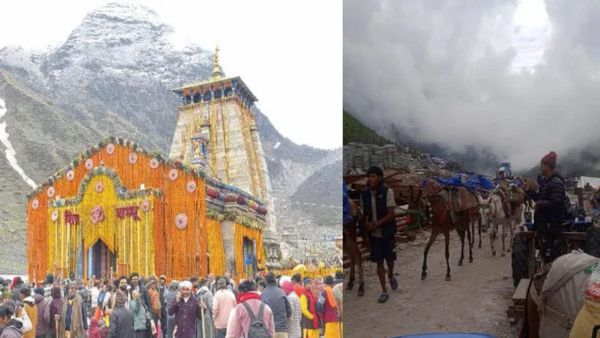 केदारनाथ यात्रा में घोड़ा-खच्चरों के संचालन पर रोक को लेकर बड़ा अपडेट, जांच रिपोर्ट का क्यों है इंतजार
