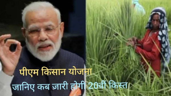 PM Kisan Yojna: इस तारीख को जारी हो सकती है 20वीं किस्त, जल्द कर लें यह काम, इन बातों का रखें ध्यान