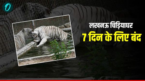 Bird Flu in Zoo: बर्ड फ्लू के खतरे के चलते लखनऊ चिड़ियाघर 7 दिन के लिए बंद, जानवरों की सघन निगरानी शुरू