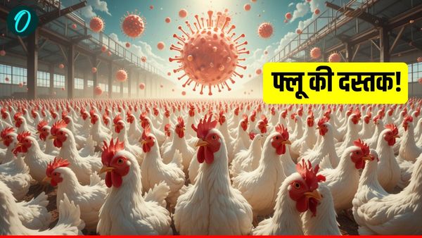 Bird Flu Alert: कानपुर के बाद गोरखपुर, आगरा और मेरठ में भी खतरे की आहट, पॉल्ट्री फार्म की गहन जांच शुरू