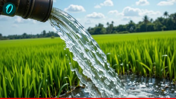 PM Kusum Yojana के नाम पर ठगी, किसान बोले–सरकार ने सपने दिखाए, ज़मीनी हकीकत कुछ और