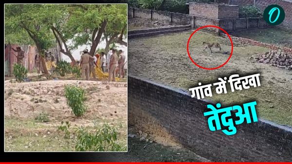 Leopard in Varanasi: बनारस में तेंदुए की दस्तक, लंबी छलांग लगाते CCTV में हुआ कैद, सर्च ऑपरेशन जारी