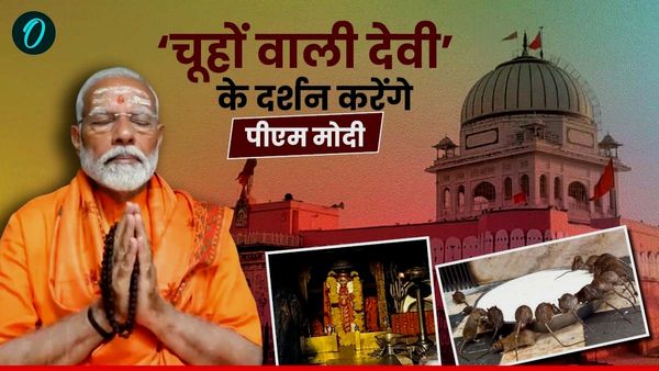 PM Modi Karni Mata Visit: जिस करणी माता मंदिर में आ रहे पीएम मोदी, वहां पर रहती है 20,000 'काबा की फौज'