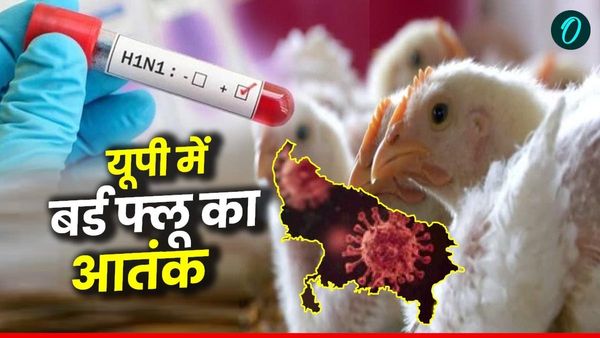 Bird Flu Alert: यूपी में बर्ड फ्लू का कहर, योगी सरकार का बड़ा आदेश, जानें कहां-कहां बंद रहेंगे जू पार्क