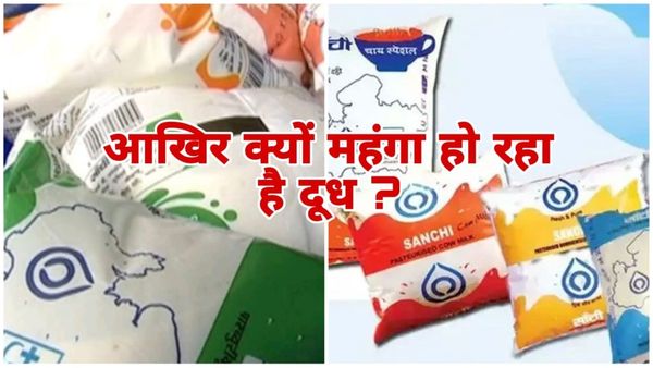 MP News: सांची और अमूल की डबल मार, 10 महीने बाद 2 रुपये प्रति लीटर बढ़ोतरी, क्यों बार-बार महंगा हो रहा है दूध?