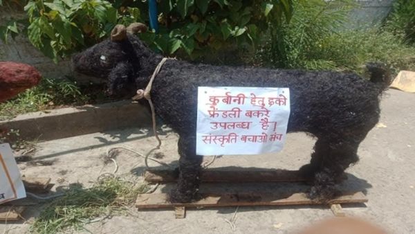 MP News: संस्कृति बचाओ मंच की बकरीद पर इको-फ्रेंडली अपील, चंद्रशेखर तिवारी ने मांग मिट्टी के बकरों की कुर्बानी