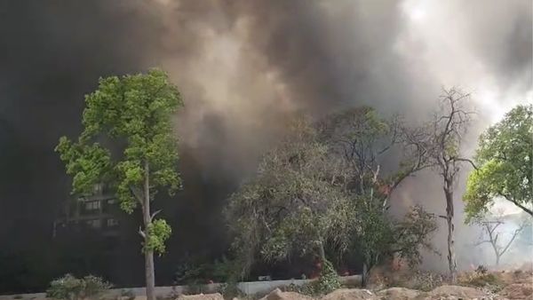 एयर इंडिया के विमान VT-ANB की अहमदाबाद से उड़ान भरते ही क्रैश, देखें हादसे के बाद दिल दहला देने वाला मंजर