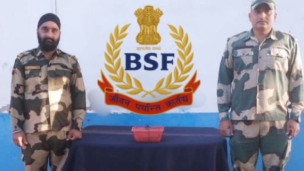 उत्तर बंगाल में BSF ने बचाई दुर्लभ 'टोके गेको' छिपकली, सीमा पर तस्करी के खिलाफ चलाया खास अभियान