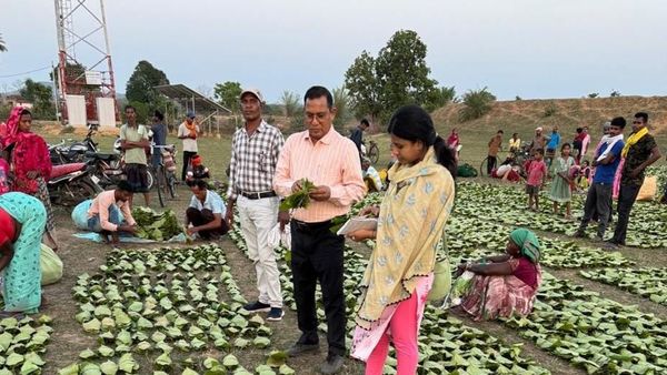 Chhattisgarh News: मुख्यमंत्री श्री विष्णु देव साय 21 जून को करेंगे प्रदेशव्यापी चरण पादुका योजना का शुभारंभ