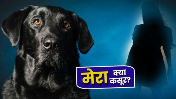 Dog Bali: महिला ने कुत्ते का गला घोंटा, फिर रेता, 4 दिन फ्लैट में लाश संग क्या-क्या हुआ? चौंकाने वाली है वजह