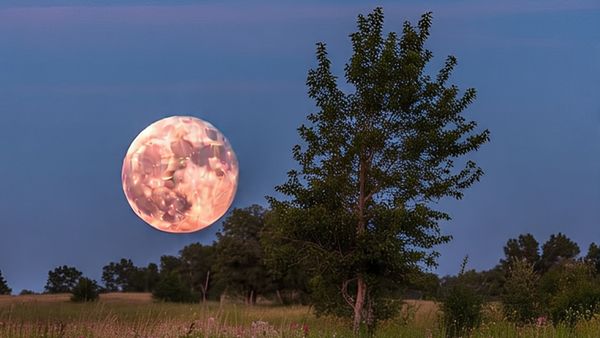 Strawberry Moon: आज भारत में दिखेगा स्ट्रॉबेरी मून, जानें कब और कैसे देख पाएंगे यह दुर्लभ नजारा